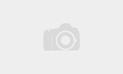 M.A.S.S. urges Governor Healey not to opt in to the Federal Scholarship Tax Credit