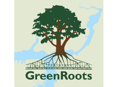 Green Roots